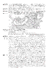 第19回共生・共走リレーマラソン 実施要項2